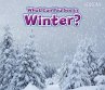 What Can You See In Winter? (eBook, PDF) - Bild 1