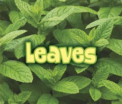 Cover All About Leaves (eBook, PDF)