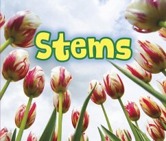 Cover All About Stems (eBook, PDF)
