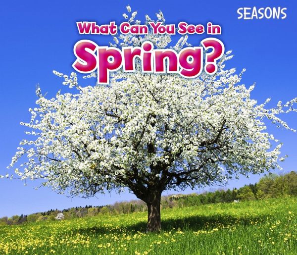 What Can You See In Spring? (eBook, PDF)