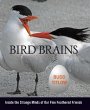 Bird Brains (eBook, ePUB) - Bild 1