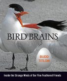 Bird Brains (eBook, ePUB)