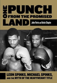Cover One Punch from the Promised Land (eBook, ePUB)