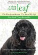 Dog Named Leaf (eBook, ePUB) - Bild 1