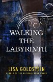Walking the Labyrinth (eBook, ePUB)