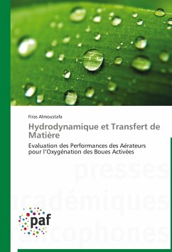 Hydrodynamique et Transfert de Matière - Almoustafa, Firas
