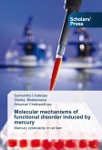 Molecular mechanisms of functional disorder induced by mercury