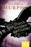 Dachbodengeflüster (eBook, ePUB)