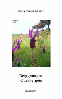 Cover Begegnungen Querbergein (eBook, ePUB)