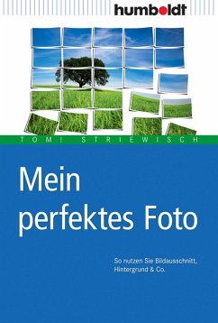 Mein perfektes Foto (eBook, PDF) - Striewisch, Tom!