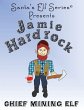 Jamie Hardrock, Chief Mining Elf - Bild 1