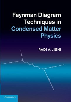 Feynman Diagram Techniques in Condensed Matter Physics - Jishi, Radi
