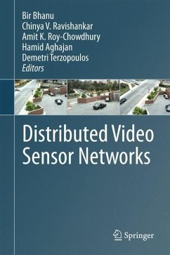 Distributed Video Sensor Networks