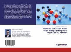 Protease Extraction from Horse Mango (Mangifera foetida Lour) Kernels - Ahmad, Mohammad Norazmi