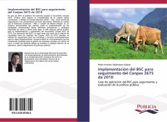 Cover Implementación del BSC para seguimiento del Conpes 3675 de 2010