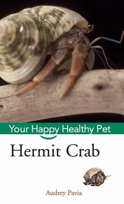Hermit Crab - Pavia, Audrey