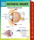 Senses: Sight Speedy Study Guides (eBook, ePUB)