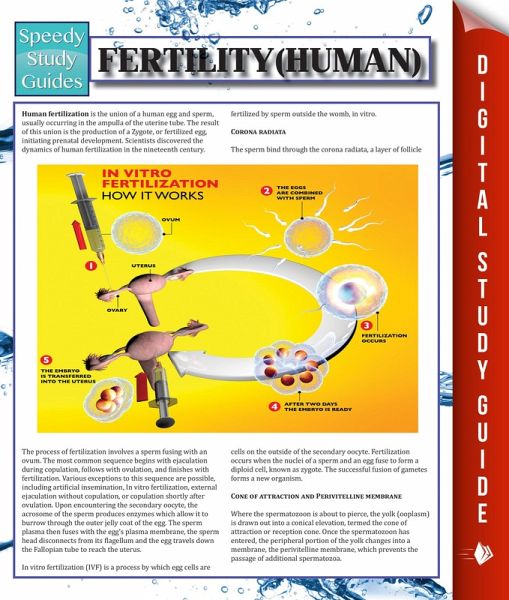 Fertility (Human) (eBook, ePUB) Fertility (Human) (eBook, ePUB)