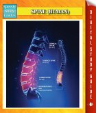 Spine (Human) Speedy Study Guides (eBook, ePUB)