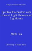 Spiritual Encounters with Unusual Light Phenomena (eBook, ePUB)