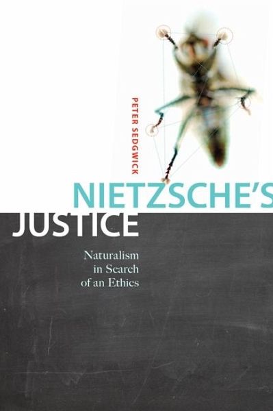 Nietzsche's Justice (eBook, ePUB)