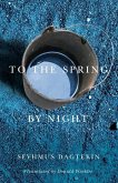 To the Spring, by Night (eBook, ePUB)