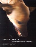 Witch Hunts (eBook, ePUB)