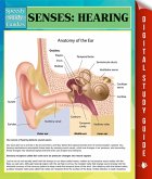 Senses: Hearing Speedy Study Guides (eBook, ePUB)