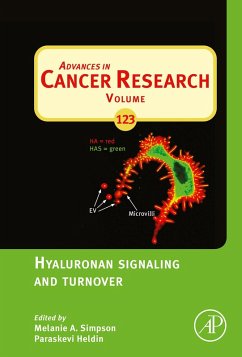 Hyaluronan Signaling and Turnover (eBook, ePUB) - Simpson, Melanie; Heldin, Paraskevi