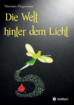 Die Welt hinter dem Licht - Hegemann, Thorsten