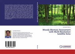 Woody Biomass Assessment with Multi-Resolution Satellite Data