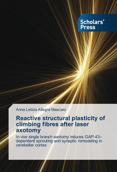 Reactive structural plasticity of climbing fibres after laser axotomy - Allegra Mascaro, Anna Letizia