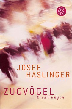 Zugvögel (eBook, ePUB) - Haslinger, Josef