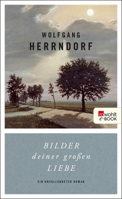 Bilder deiner großen Liebe (eBook, ePUB) - Herrndorf, Wolfgang