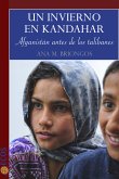 Un invierno en Kandahar (eBook, ePUB)