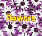 All About Flowers (eBook, PDF)