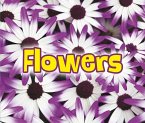 All About Flowers (eBook, PDF) All About Flowers (eBook, PDF)