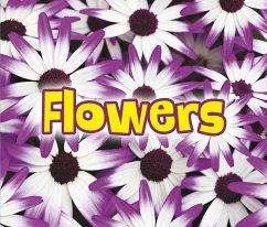 Cover All About Flowers (eBook, PDF)