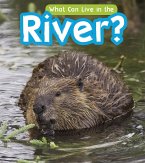What Can Live in a River? (eBook, PDF)