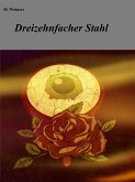 Dreizehnfacher Stahl (eBook, ePUB)