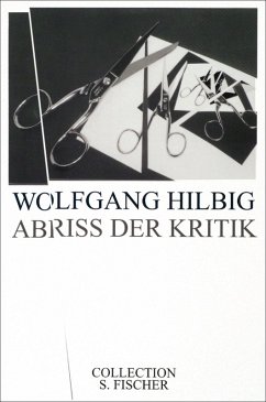 Abriss der Kritik (eBook, ePUB) - Hilbig, Wolfgang