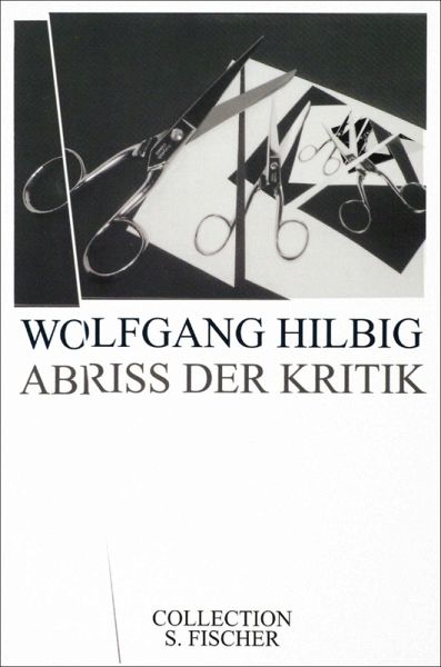 Abriss der Kritik (eBook, ePUB)