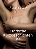 Erotische Kurzgeschichten #4 (eBook, ePUB)