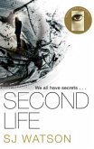 Second Life Second Life