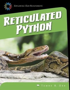 Reticulated Python - Orr, Tamra B