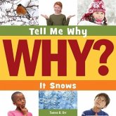 It Snows It Snows
