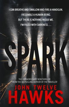 Spark - Twelve Hawks, John