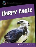 Harpy Eagle