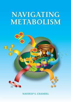 Cover Navigating Metabolism