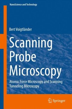 Scanning Probe Microscopy - Voigtländer, Bert